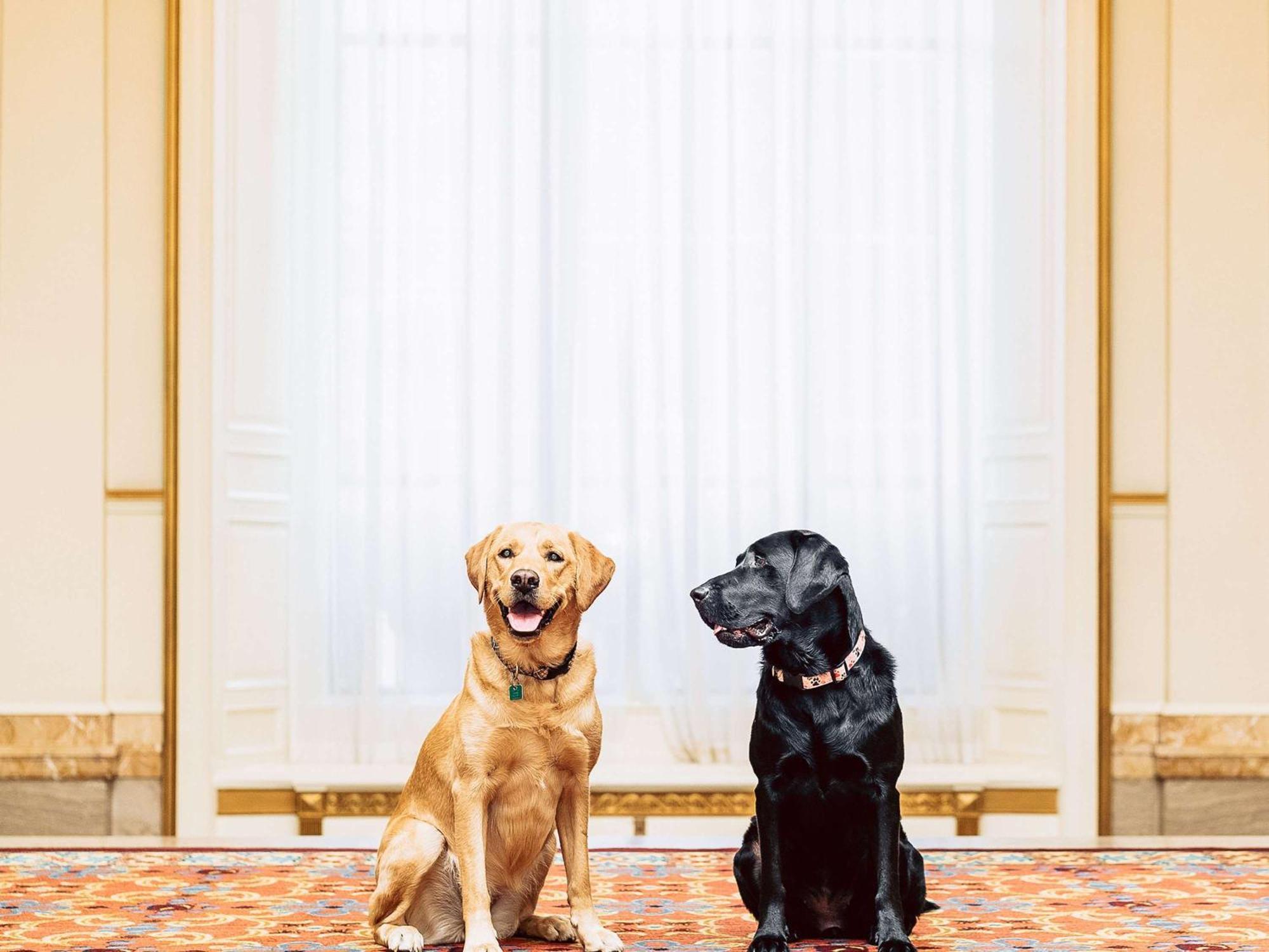 Fairmont Hotel Ванкувер Екстер'єр фото Sunny and Bo